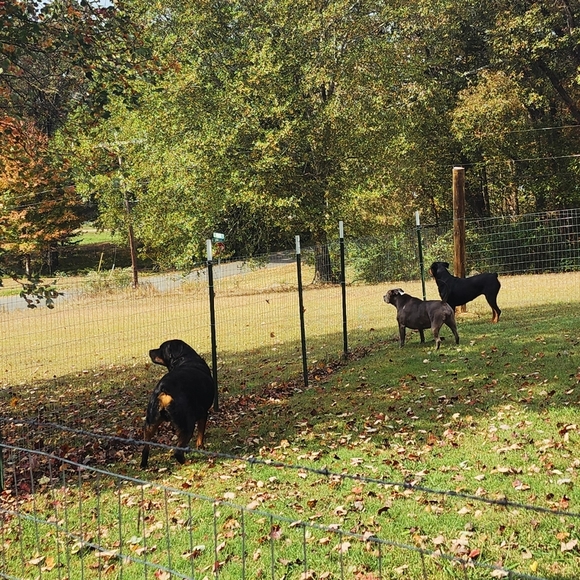 Meet your seller/buyer! - Picture 13 of 16